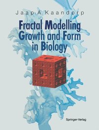 bokomslag Fractal Modelling