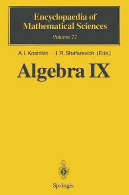bokomslag Algebra IX