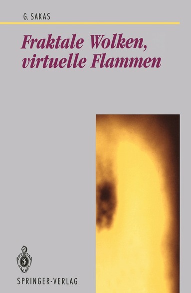 Georgios Sakas - Fraktale Wolken, virtuelle Flammen, Häftad