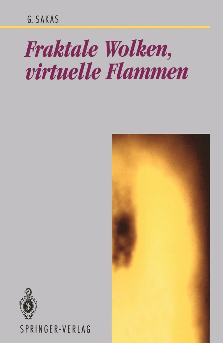 Georgios Sakas - Fraktale Wolken, virtuelle Flammen, Häftad