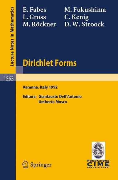 E. Fabes, M. Fukushima, L. Gross, C. Kenig, M. Röckner, D.W. Stroock, Gianfausto Dell'Antonio, Umberto Mosco - Dirichlet Forms, Häftad