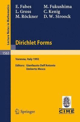 Dirichlet Forms 1