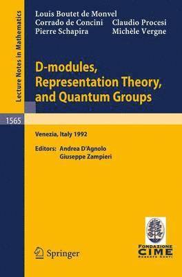 D-modules, Representation Theory, and Quantum Groups 1