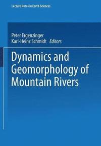 bokomslag Dynamics and Geomorphology of Mountain Rivers