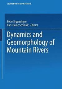 bokomslag Dynamics and Geomorphology of Mountain Rivers