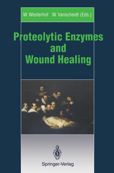 W. Westerhof, Wolfgang Vanscheidt - Proteolytic Enzymes and Wound Healing, Häftad