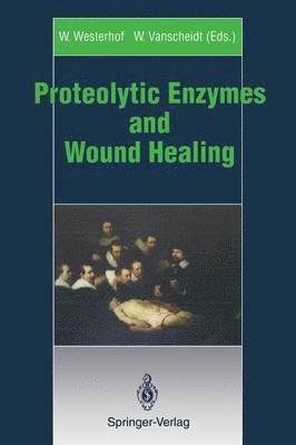 bokomslag Proteolytic Enzymes and Wound Healing