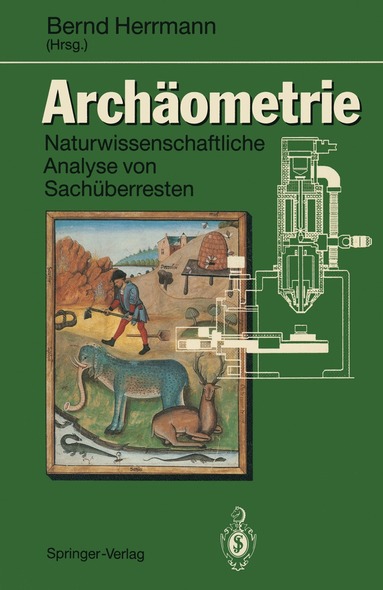 bokomslag Archäometrie