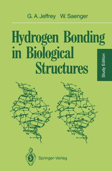 George A. Jeffrey, Wolfram Saenger - Hydrogen Bonding in Biological Structures, Häftad