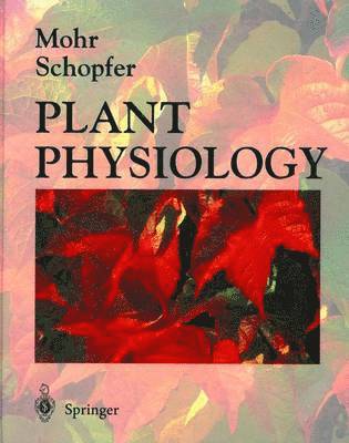 Hans Mohr, Peter Schopfer - Plant Physiology, Inbunden