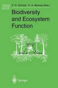 bokomslag Biodiversity and Ecosystem Function
