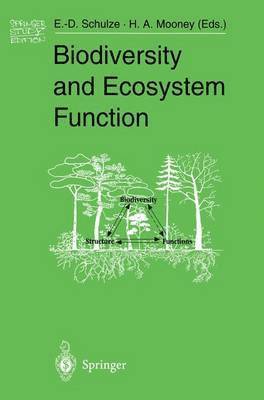 bokomslag Biodiversity and Ecosystem Function