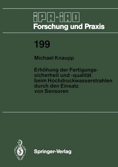 Michael Knaupp - Erhöhung der Fertigungssicherheit und -qualität beim Hochdruckwasserstrahlen durch den Einsatz von Sensoren, Häftad