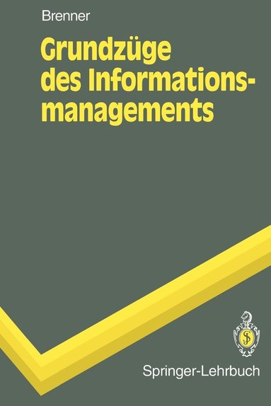 bokomslag Grundzge des Informationsmanagements