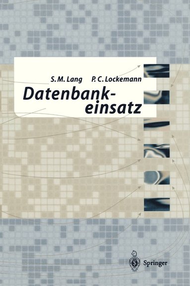 bokomslag Datenbankeinsatz