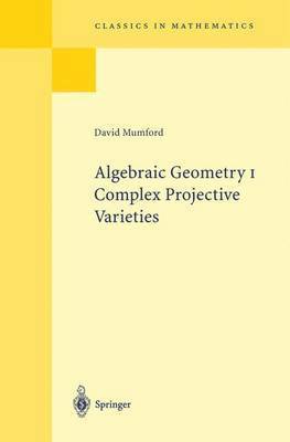 bokomslag Algebraic Geometry I