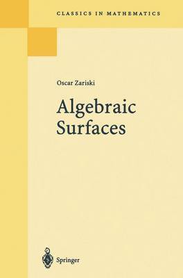 Algebraic Surfaces 1