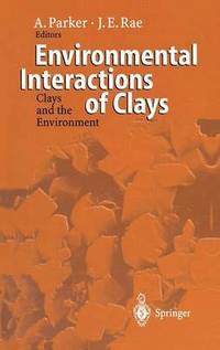 bokomslag Environmental Interactions of Clays