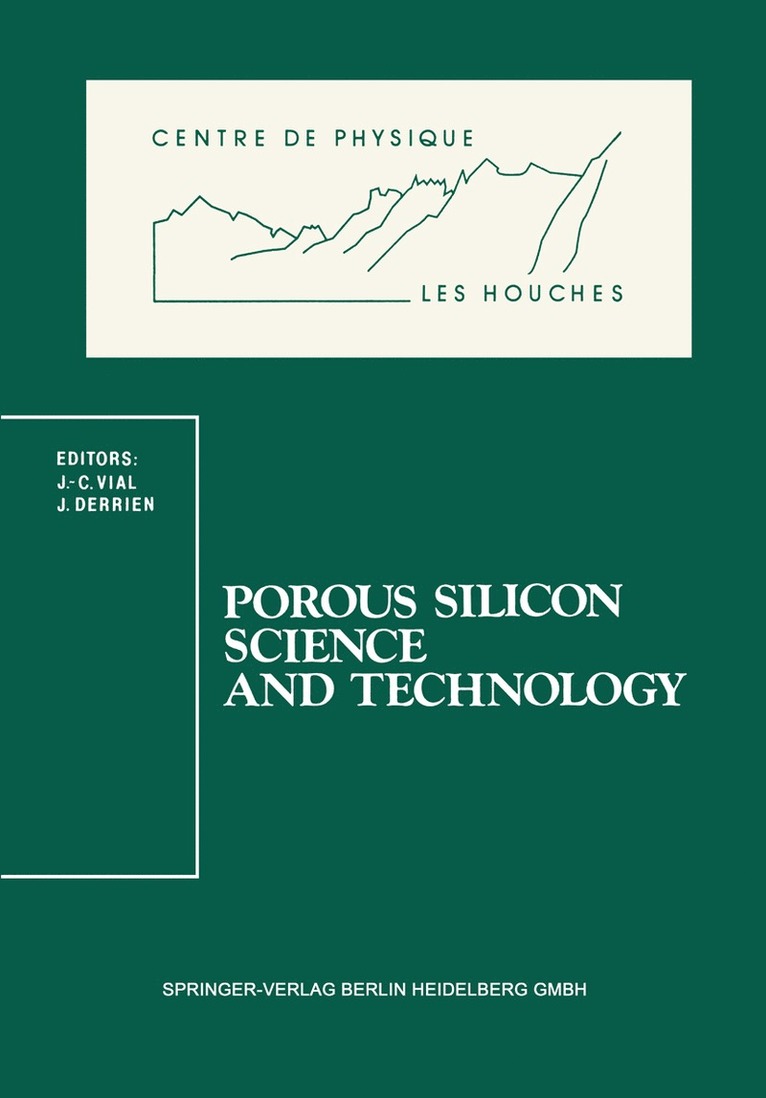 Jean-Claude Vial, Jacques Derrien - Porous Silicon Science and Technology, Häftad