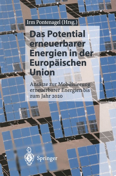 Irm Pontenagel - Das Potential erneuerbarer Energien in der Europäischen Union, Häftad