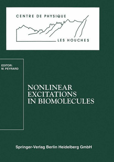 Michel Peyrard - Nonlinear Excitations in Biomolecules, Häftad