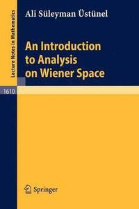 bokomslag An Introduction to Analysis on Wiener Space
