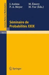bokomslag Seminaire de Probabilites XXIX