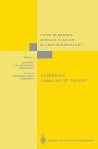 bokomslag Algebraic Complexity Theory