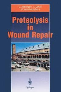 bokomslag Proteolysis in Wound Repair