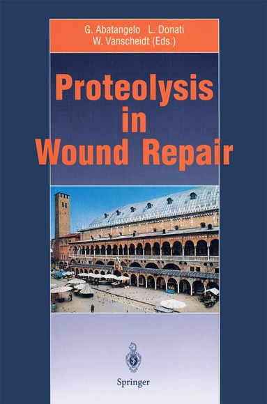 Giovanni Abatangelo, Luigi Donati, Wolfgang Vanscheidt - Proteolysis in Wound Repair, Häftad