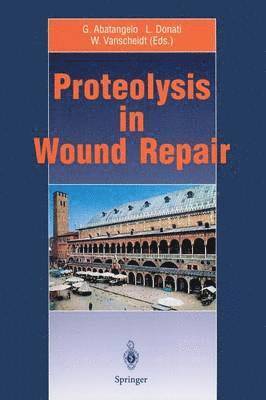 bokomslag Proteolysis in Wound Repair