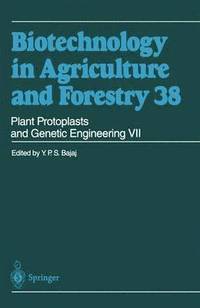 bokomslag Plant Protoplasts and Genetic Engineering VII