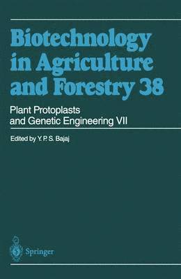 bokomslag Plant Protoplasts and Genetic Engineering VII