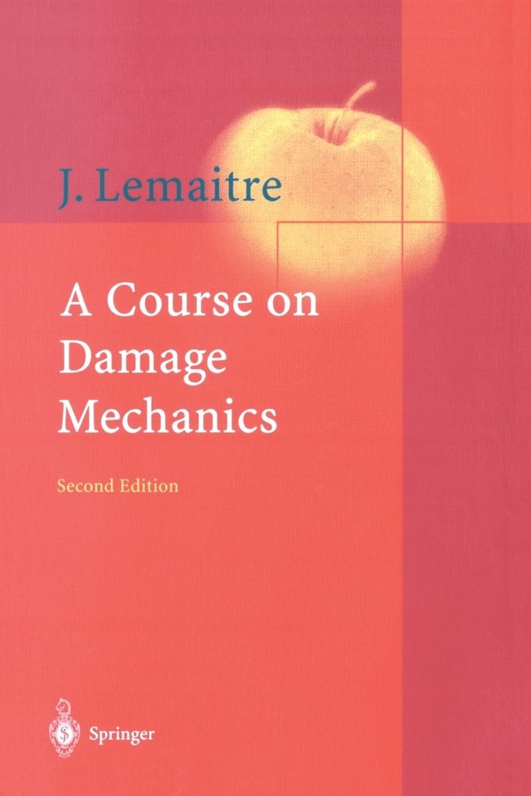 A Course on Damage Mechanics 1