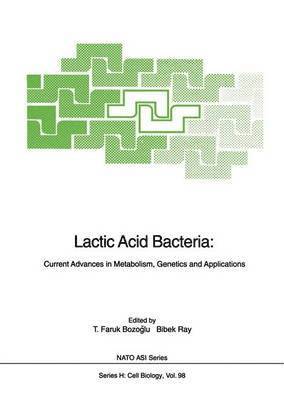 bokomslag Lactic Acid Bacteria