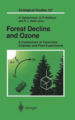 bokomslag Forest Decline and Ozone