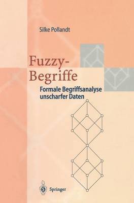 bokomslag Fuzzy-Begriffe