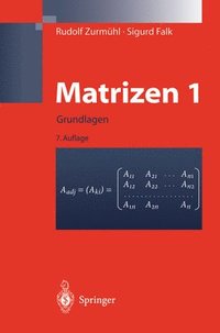 bokomslag Matrizen Und Ihre Anwendungen 1