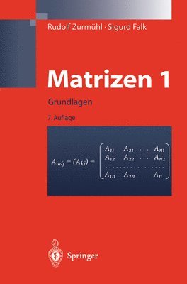 bokomslag Matrizen Und Ihre Anwendungen 1