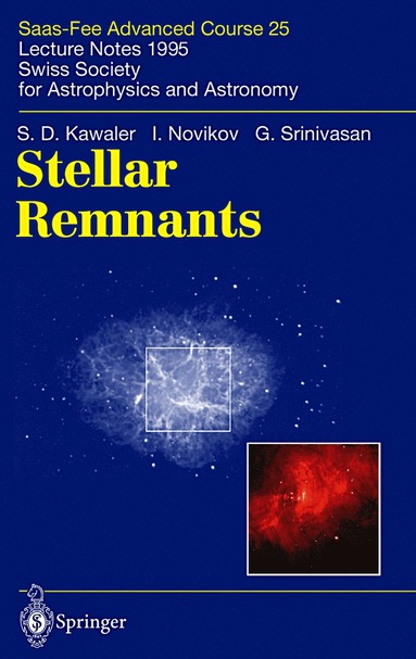 bokomslag Stellar Remnants