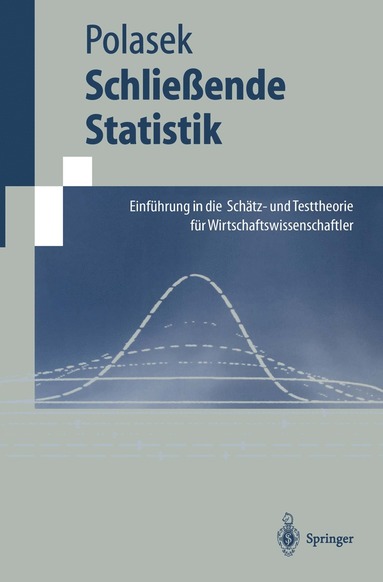 bokomslag Schlieende Statistik