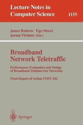 Broadband Network Traffic 1