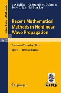 bokomslag Recent Mathematical Methods in Nonlinear Wave Propagation