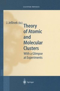 bokomslag Theory of Atomic and Molecular Clusters