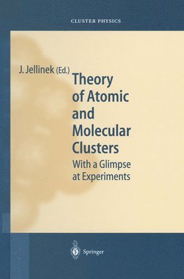 J. Jellinek, J. Jellinek, USA) Jellinek, J. (Argonne National Laboratory, Illinois, Julius Jellinek - Theory of Atomic and Molecular Clusters, Inbunden