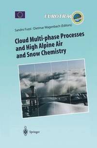bokomslag Cloud Multi-phase Processes and High Alpine Air and Snow Chemistry