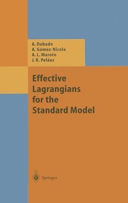 Effective Lagrangians for the Standard Model 1