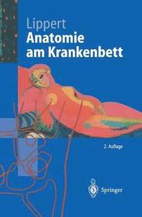 bokomslag Anatomie am Krankenbett