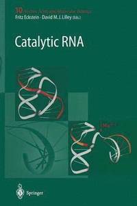 bokomslag Catalytic RNA