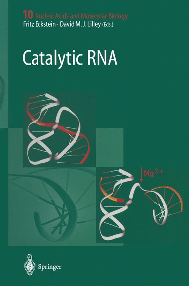 bokomslag Catalytic RNA